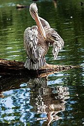 《永劫无间》永久免费：开服当天封禁2754个外挂玩家